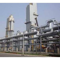 甘肅廠家直銷 批發供應，網絡營銷新篇章